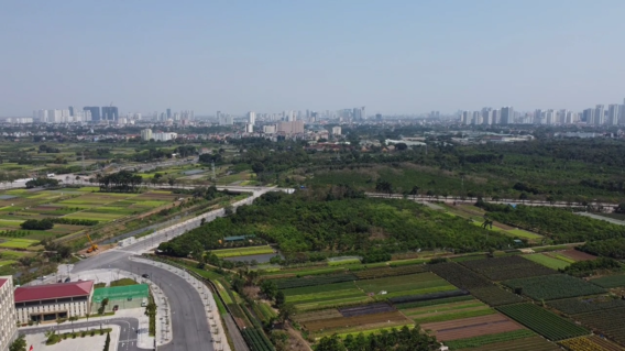 Dat thuong mai dich vu duoc mien tien su dung dat khi nao