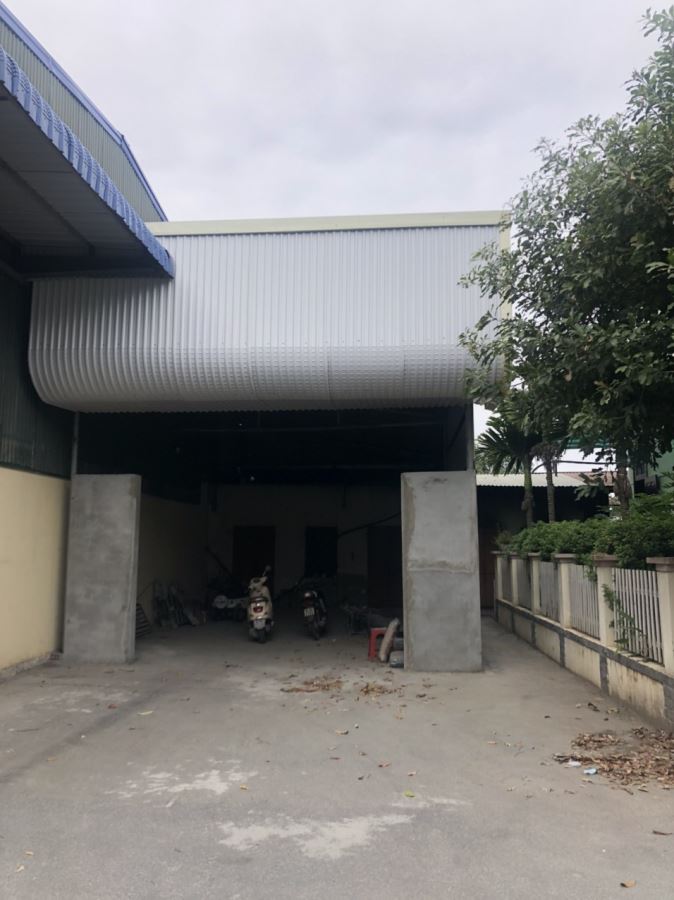 CCNTanHong3