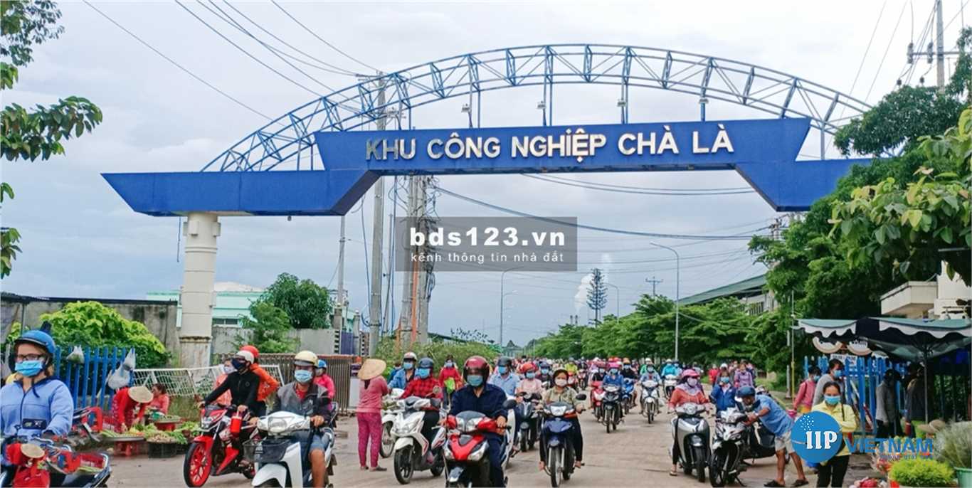 Cho thuê đất 9500 m2 trong KCN Chà Là 2 Cho thue dat 9500 m2 trong KCN Cha La xa Cha La huyen Duong Minh Chau tinh Tay Ninh