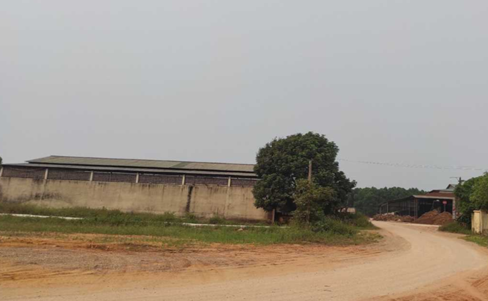 Cho thuê hơn 200ha đất tại KCN Tây Bắc Hồ Xá - Quảng Trị 2 Cho thue hon 200ha dat tai KCN Tay Bac Ho Xa Quang Tri